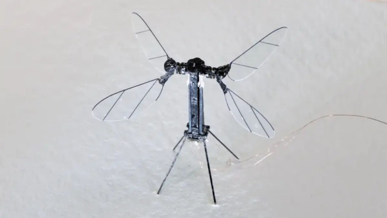 Buzzing Into Battle: China’s Micro Drone Raises Global Eyebrows